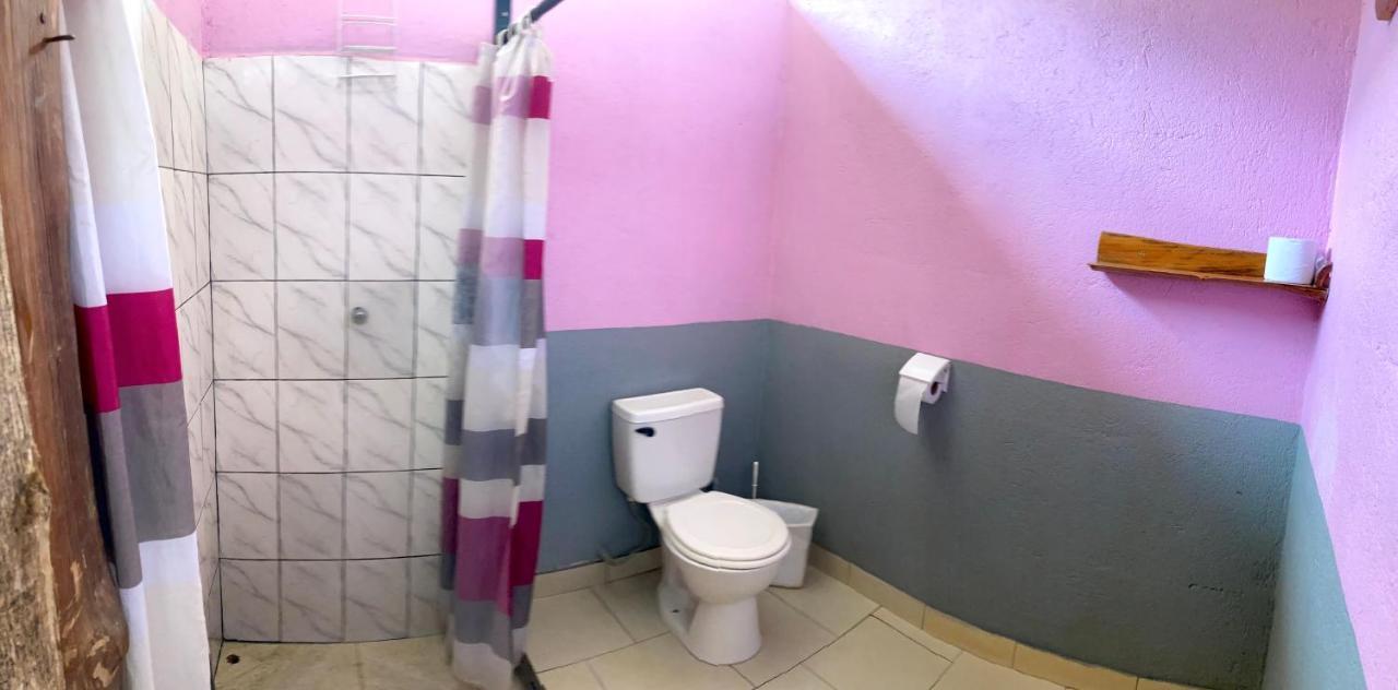 טמארינדו Tamahostel & Glamping מראה חיצוני תמונה