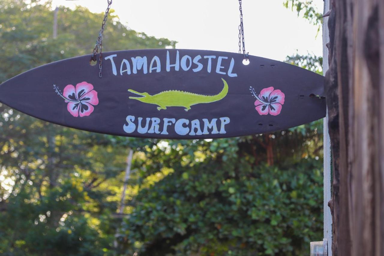 טמארינדו Tamahostel & Glamping מראה חיצוני תמונה